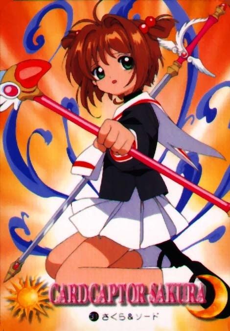 ccs93.jpg